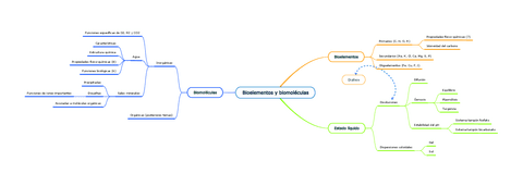 Bioelementos-y-biomoleculas-esquema-selectividad.pdf