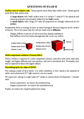 Commented-questions-of-exam.pdf