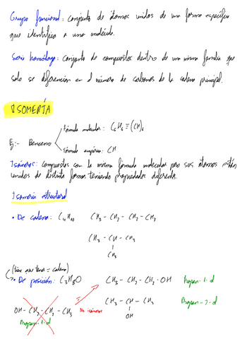T9Quimica-organica.pdf