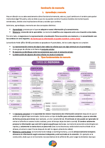 S4.-Memoria.pdf