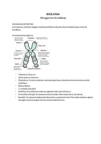 Biologia-Hirugarren-hiruilekoa.pdf