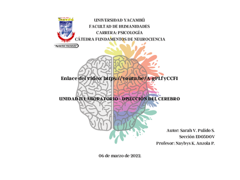 Diseccion-de-cerebro-video-enlace.pdf