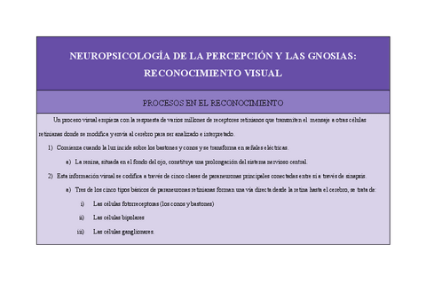 Neuropsicología de la percepción y las gnosias.pdf