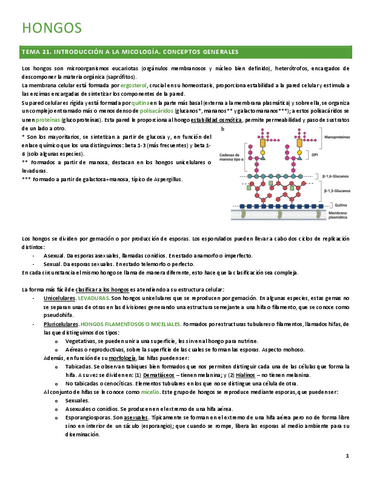 Tema-21.pdf