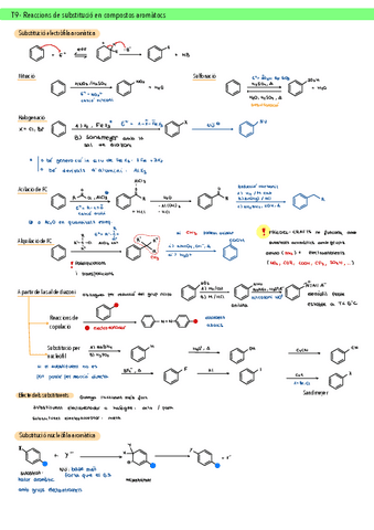 Resum-per-temes.pdf