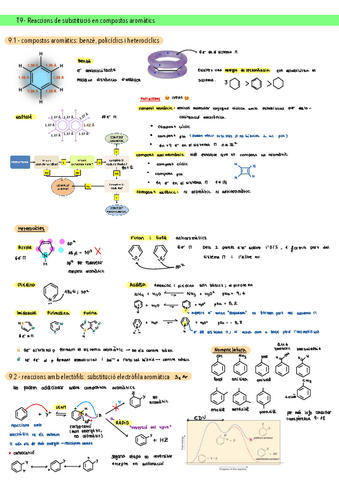 Apunts-tema-9-Reaccions-de-substitucio-en-compostos-aromatics.pdf