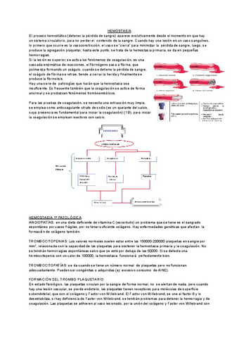 HEMOSTASIA-2023.pdf