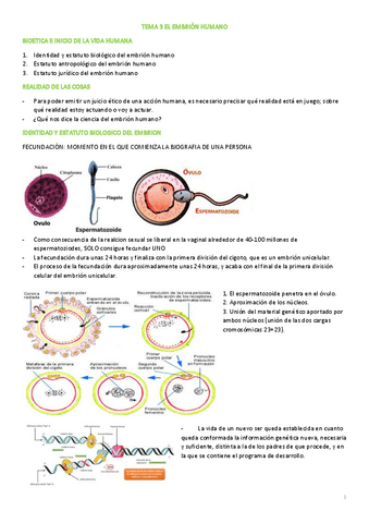 TEMA-3-BIOETICA.pdf