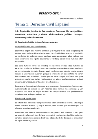 Derecho Civil.pdf