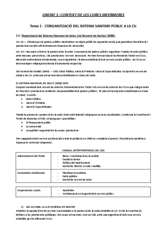 APUNTES-INTRO.-PRACTICA.pdf