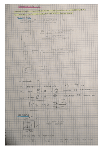 Resumenpractica1.pdf