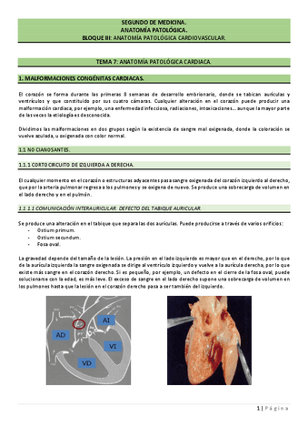 TEMA-7.-ANATOMIA-PATOLOGICA-CARDIACA..pdf