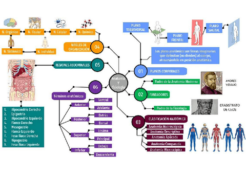 ANATOMIA-Y-FISIOLOGIA.pdf