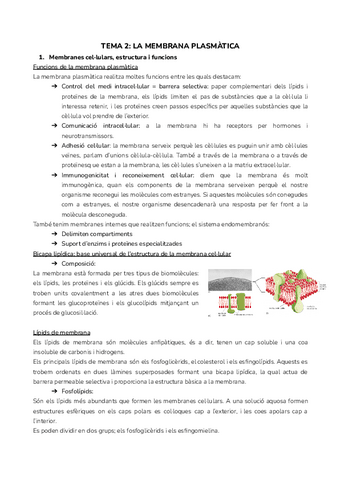 TEMA-2-LA-MEMBRANA-PLASMATICA.pdf