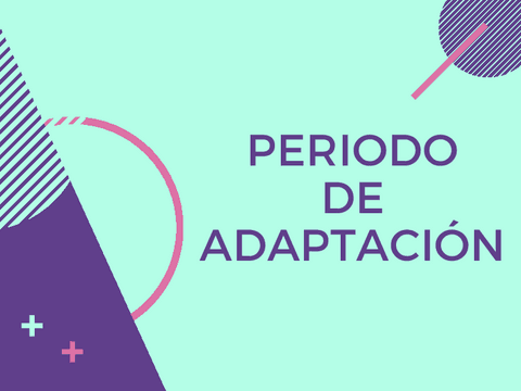 Periodo-de-adaptacion.pdf