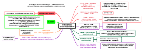 ANTIBIOTICOS-MICROORGANISMOS.pdf