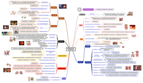 ENFERMEDADES--ANTIBIOTICOS.pdf