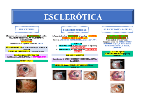 ESCLEROTICA.pdf