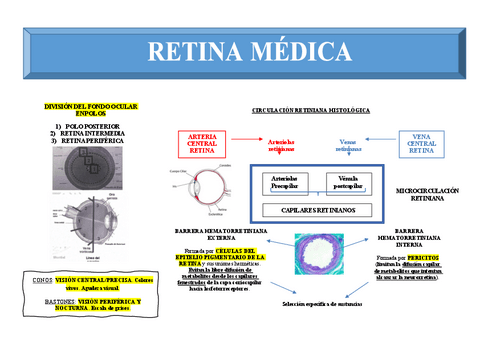 RETINA-MEDICA.pdf