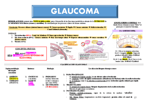 T4.-GLAUCOMA.pdf