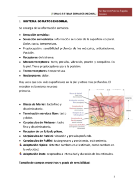 TEMA 6 SIST SOMATOSENSORIAL.pdf