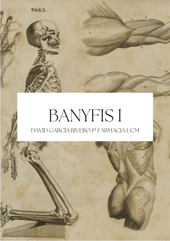 BANYFIS-TEMAS-1-16.pdf