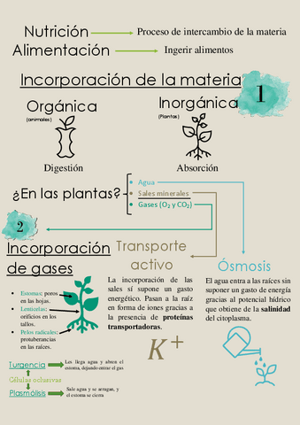 Nutricion-de-las-plantas.pdf