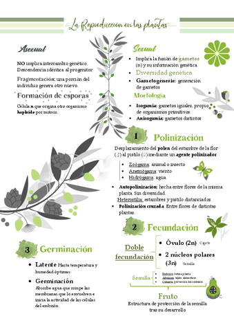 Reproduccion-de-las-plantas.pdf