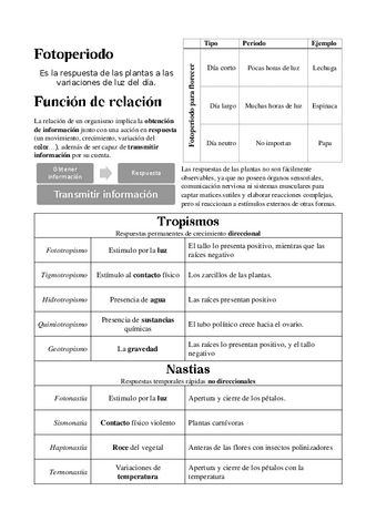 Relacion-en-las-plantas.pdf
