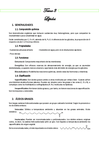 Resumen 3 - LÍPIDOS.pdf