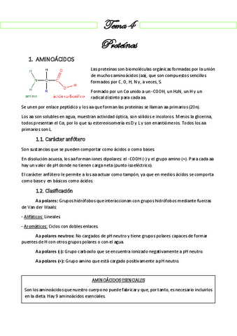 Resumen 4 - PROTEÍNAS.pdf