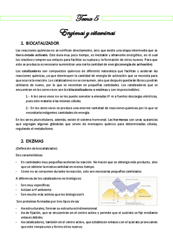 Resumen 5 - ENZIMAS Y VITAMINAS.pdf