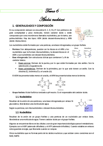 Resumen 6 - ÁCIDOS NUCLEICOS.pdf