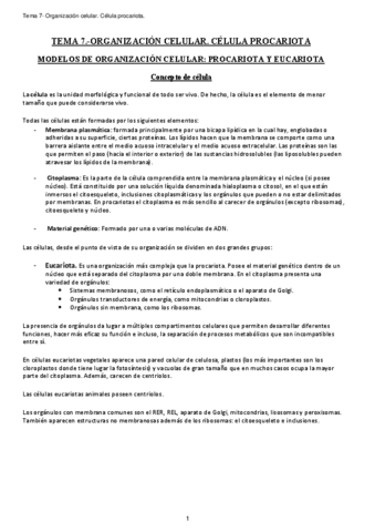Resumen 7 - CÉLULA PROCARIOTA.pdf
