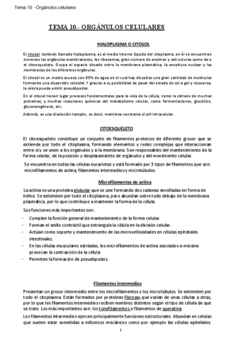 Resumen 10 - ORGÁNULOS CELULARES.pdf
