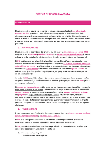 ANATO-SISTEMA-NERVIOSO.pdf