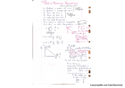 Tema-2-Micro-1.pdf