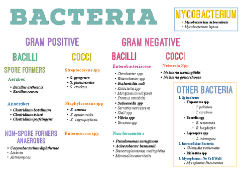 Bacterial-Classification.pdf