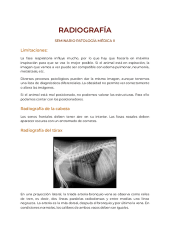 Seminario-PMII-pulmon.pdf