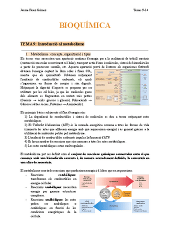 BQ-Temes-9-10.pdf