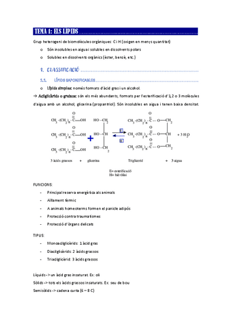 Biologia: lípids.pdf