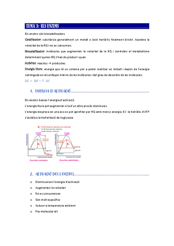 Biologia: enzims.pdf