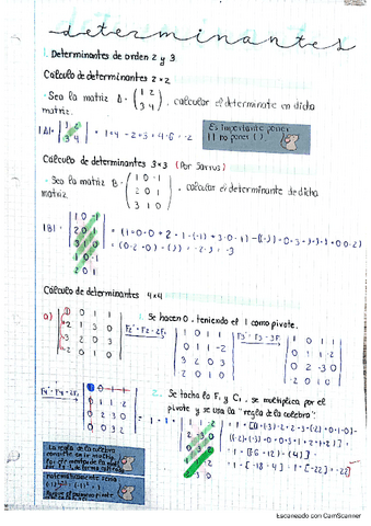 Determinantes.pdf