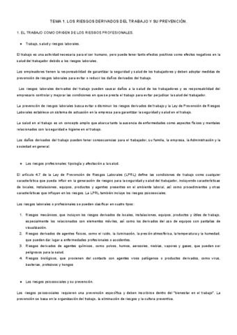 Apuntes-Prevencion-1-Tema-1-al-6.pdf