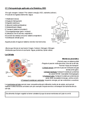 Resum-Bases-de-fisiologia-humana.pdf