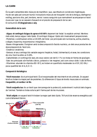 Resumen-Carnes-y-Pescados.pdf