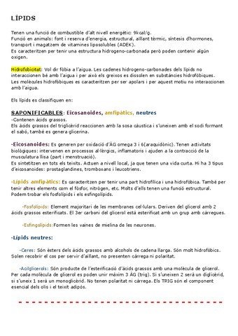 Resumen-Lipidos.pdf
