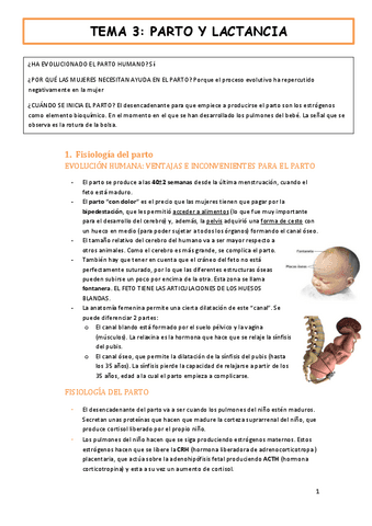 tema-3-fisiologia-PARTO-Y-LACTANCIA.pdf