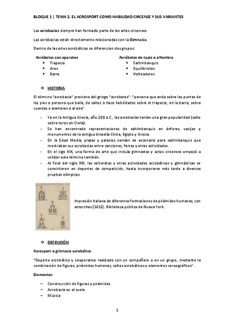 AG.-B1-Tema-2.-El-acrosport-como-habilidad-circense-y-sus-variantes.pptx.pdf