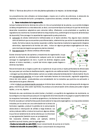 TEMA-4.-Tecnicas-de-cultivo-in-vitro-de-plantas-aplicadas-a-la-mejora-y-la-biotecnologia.pdf
